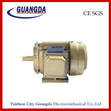 CE SGS 2.2kw Triple-Phase Air Compressor Motor